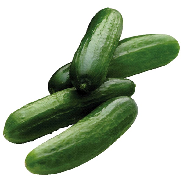 Local Cucumbers