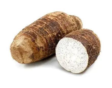 Local Dasheen
