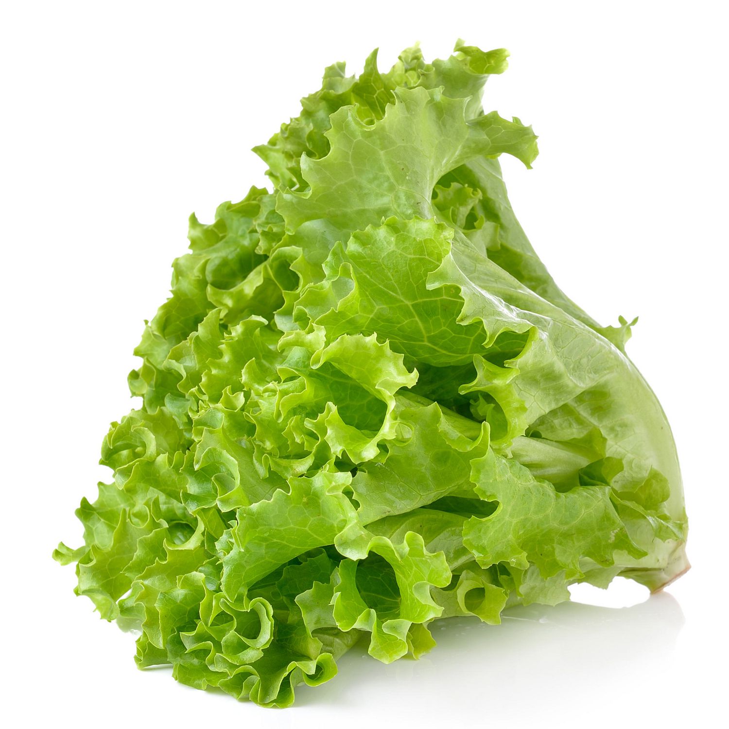 Local Lettuce